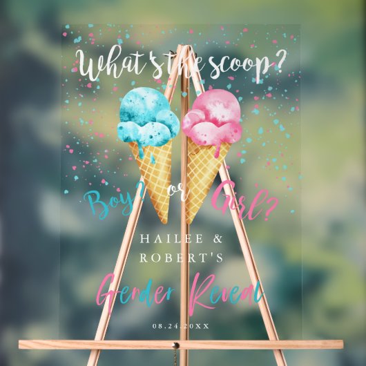 Ice Cream Gender Reveal Party Sign Acryl Bord (Neutraal)