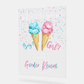 Ice Cream Gender Reveal Party Sign Acryl Bord (Hoek)