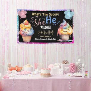 Ice Cream Geslacht onthullen Party Welkom Spandoek