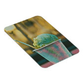 Ice cream recipe magneet (Rechterzijde)