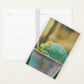 Ice cream recipe planner (Display)