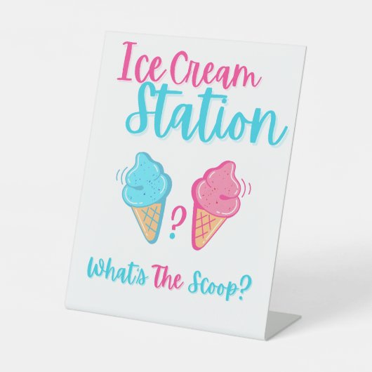 Ice Cream Station Wat is de Scoop Gender Reveal Reclamebord Met Voetstuk (Voorkant)