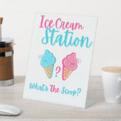 Ice Cream Station Wat is de Scoop Gender Reveal Reclamebord Met Voetstuk (Insitu)