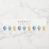 Ice Cream Theme Birthday Party Water Flacon Label Waterfles Etiket (Enkel label)