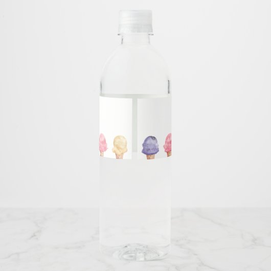 Ice Cream Theme Birthday Party Waterfles Etiket (Achterkant)