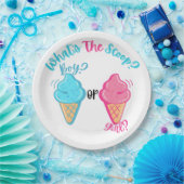 Ice Cream Wat is de Scoop Gender Reveal Papieren Bordje (Feest)