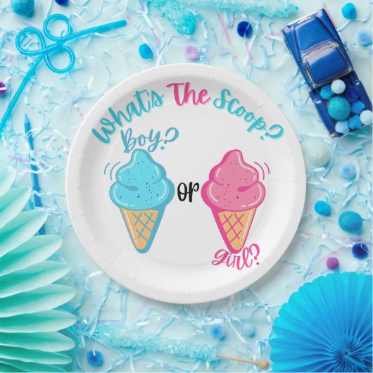 Ice Cream Wat is de Scoop Gender Reveal Papieren Bordje (Feest)
