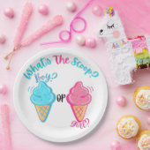 Ice Cream Wat is de Scoop Gender Reveal Papieren Bordje (Feest)