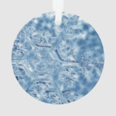 Ice Crystal Fractal Snowflake, bevroren Ornament (achterkant)