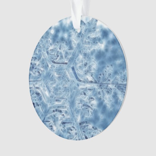 Ice Crystal Fractal Snowflake, bevroren Ornament (voorkant)