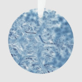 Ice Crystal Fractal Snowflake, bevroren Ornament (voorkant)