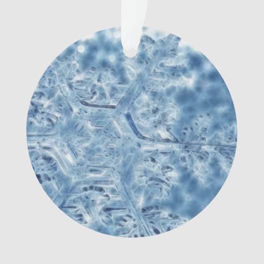 Ice Crystal Fractal Snowflake, bevroren Ornament (voorkant)