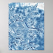 Ice Crystal Fractal Snowflake, bevroren Poster (Voorkant)