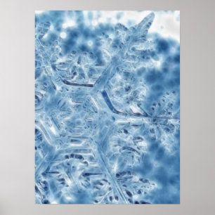 Ice Crystal Fractal Snowflake, bevroren Poster