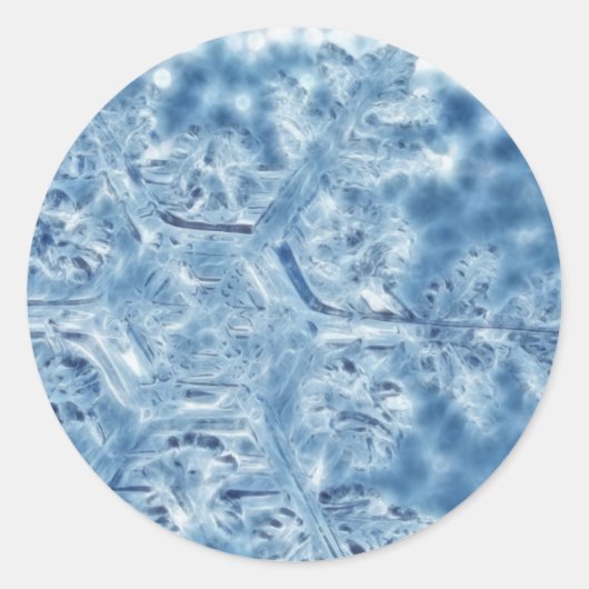 Ice Crystal Fractal Snowflake, bevroren Ronde Sticker (Voorkant)
