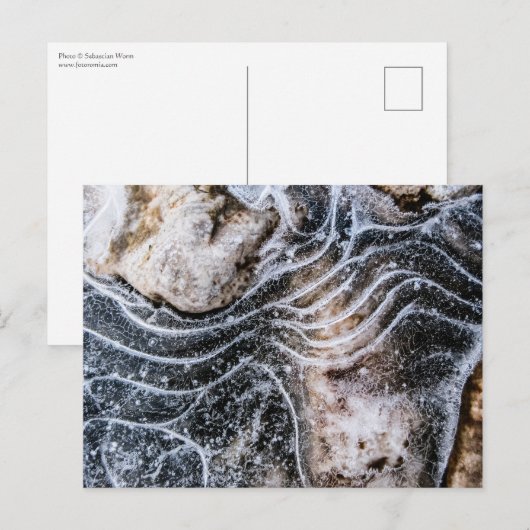 Ice Crystal Natuur Foto Briefkaart (Voorkant / Achterkant)