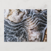 Ice Crystal Natuur Foto Briefkaart (Voorkant)