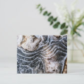 Ice Crystal Natuur Foto Briefkaart (Staand voorkant)