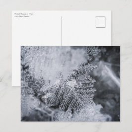 Ice Crystal Natuur Foto Briefkaart