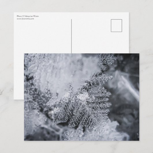 Ice Crystal Natuur Foto Briefkaart (Voorkant / Achterkant)