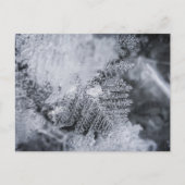 Ice Crystal Natuur Foto Briefkaart (Voorkant)