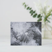 Ice Crystal Natuur Foto Briefkaart (Staand voorkant)