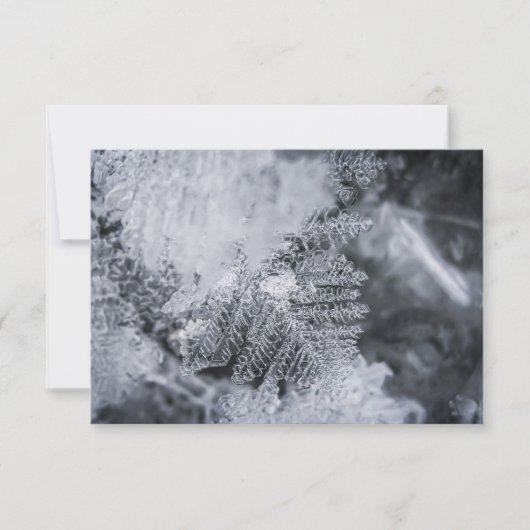 Ice Crystal Natuur fotokaart (Voorkant)