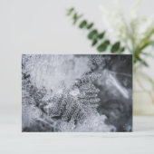 Ice Crystal Natuur fotokaart (Staand voorkant)