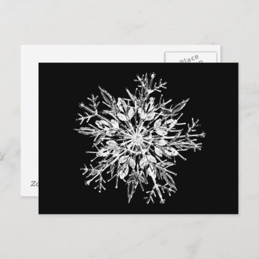 Ice crystal snowflak briefkaart (Voorkant / Achterkant)