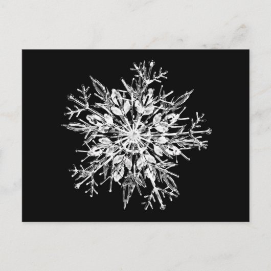 Ice crystal snowflak briefkaart (Voorkant)