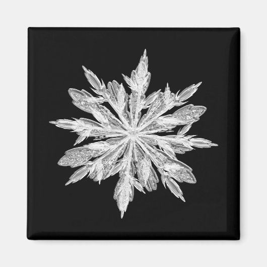 Ice crystal snowflak magneet (Voorkant)