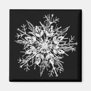 Ice crystal snowflak magneet