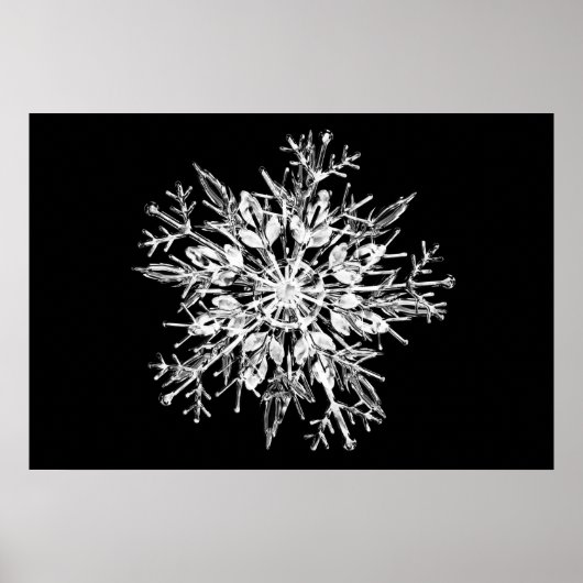 Ice crystal snowflak poster (Voorkant)