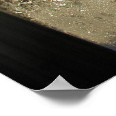 Ice Crystals Poster (Hoek)