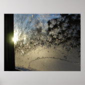 Ice Crystals Poster (Voorkant)