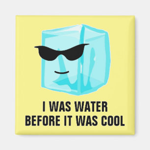 Ice Cube I was water voor het koele magneet was
