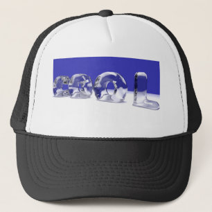 ICE CUBE-TEKST TRUCKER PET