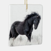 "Ice Dancer" Ornament (Rechts)