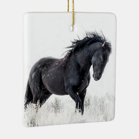 "Ice Dancer" Ornament (Rechts)