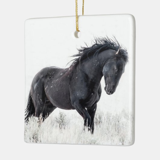 "Ice Dancer" Ornament (Links)