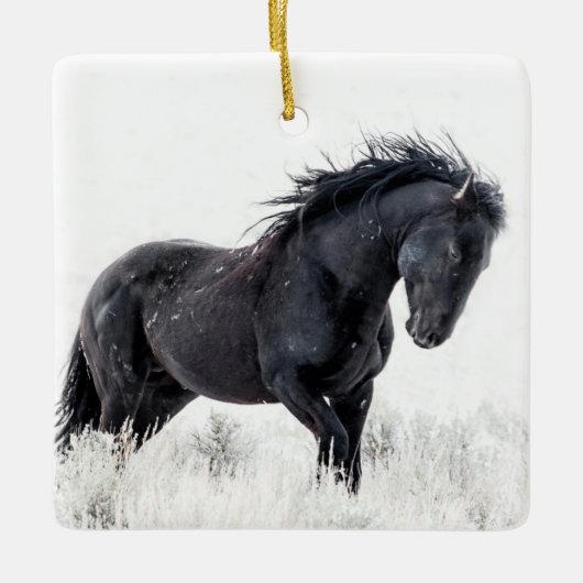 "Ice Dancer" Ornament (Voorkant)