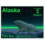 Ice Edge Polar Beer - Alaska Postage Fotobeeldje Magneet<br><div class="desc">Een andere in de serie postzegels voor een onafhankelijke Alaska. Een vreedzaam moment in de lange Arctische nacht. Een Polair Beer rust aan de rand van een open ruimte in het pakijs. De Noordelijke Lichten gloeien op afstand; heldere sterren draaien over de kop. De tekst "Alaska, " "Postage 3 nuggets,...</div>