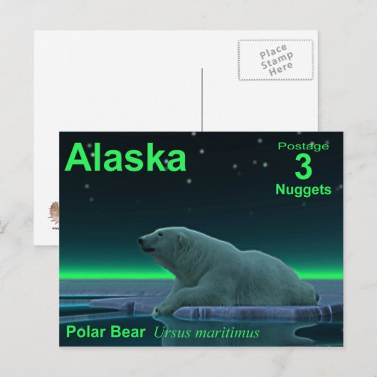 Ice Edge Polar-Beer Briefkaart (Voorkant / Achterkant)