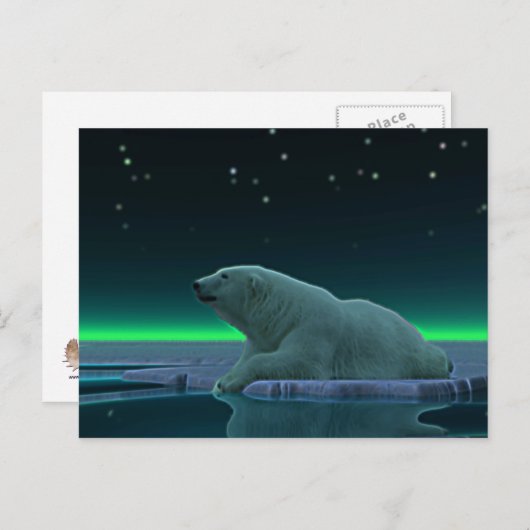 Ice Edge Polar-Beer Briefkaart (Voorkant / Achterkant)