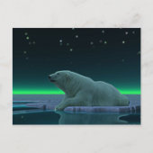 Ice Edge Polar-Beer Briefkaart (Voorkant)