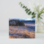 Ice Field en Covered Bridge Wilmington Briefkaart (Staand voorkant)