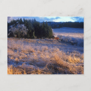 Ice Field en Covered Bridge Wilmington Briefkaart