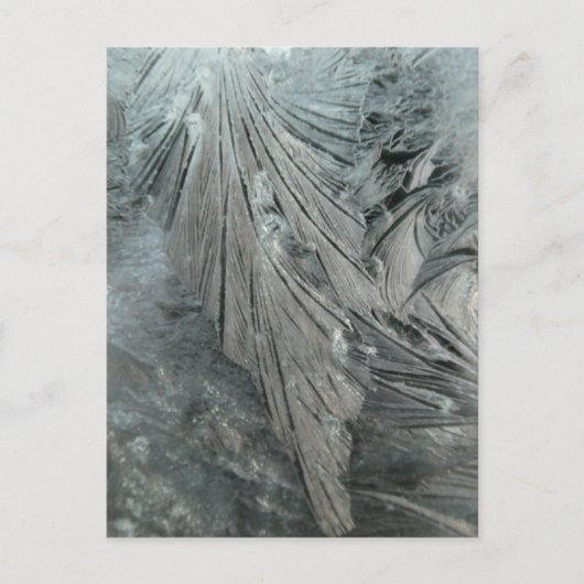 Ice Flower Vertical DIY Briefkaart (Voorkant)