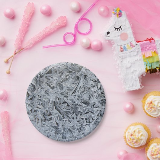 Ice Frost Crystals Texture Afbeelding Papieren Bordje (Feest)