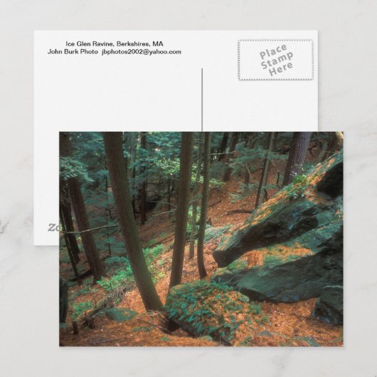 Ice Glen Ravine Briefkaart (Voorkant / Achterkant)